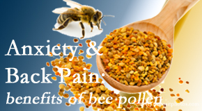Wilson Family Chiropractic shares info on the benefits of bee pollen on cognitive function that may be impaired when dealing with back pain.