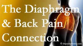 Wilson Family Chiropractic recognizes the relationship of the diaphragm to the body and spine and back pain. 