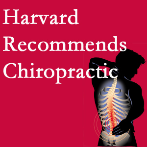 Wilson Family Chiropractic offers chiropractic care like Harvard recommends.