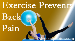 Wilson Family Chiropractic suggests Millville back pain prevention with exercise.