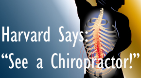 Millville chiropractic for back pain relief urged by Harvard