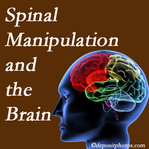 Wilson Family Chiropractic [presents research on the benefits of spinal manipulation for brain function. 
