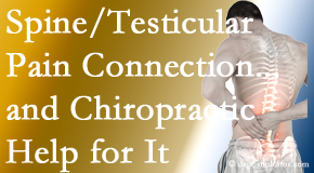 Wilson Family Chiropractic shares recent research on the connection of testicular pain to the spine and how chiropractic care helps its relief.
