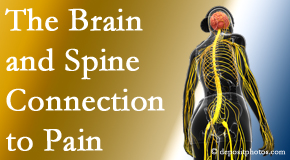 Wilson Family Chiropractic shares at the connection between the brain and spine in back pain patients to better help them find pain relief.