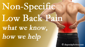 Wilson Family Chiropractic describes the specific characteristics and treatment of non-specific low back pain. 