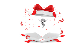 Millville chiropractic care as a gift