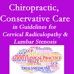 Millville chiropractic care for cervical radiculopathy and lumbar spinal stenosis is often ignored in medical studies and recommendations despite documented benefits. 