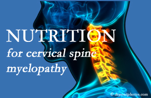 Wilson Family Chiropractic shares the nutritional factors in cervical spine myelopathy in its development and management.