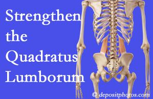 Millville chiropractic care offers exercise recommendations to strengthen spine muscles like the quadratus lumborum as the back heals and recovers.