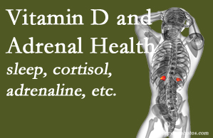 Wilson Family Chiropractic shares new studies about the effect of vitamin D on adrenal health and function.